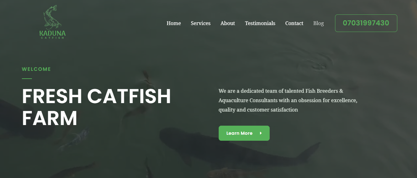 Kaduna catfish - screen